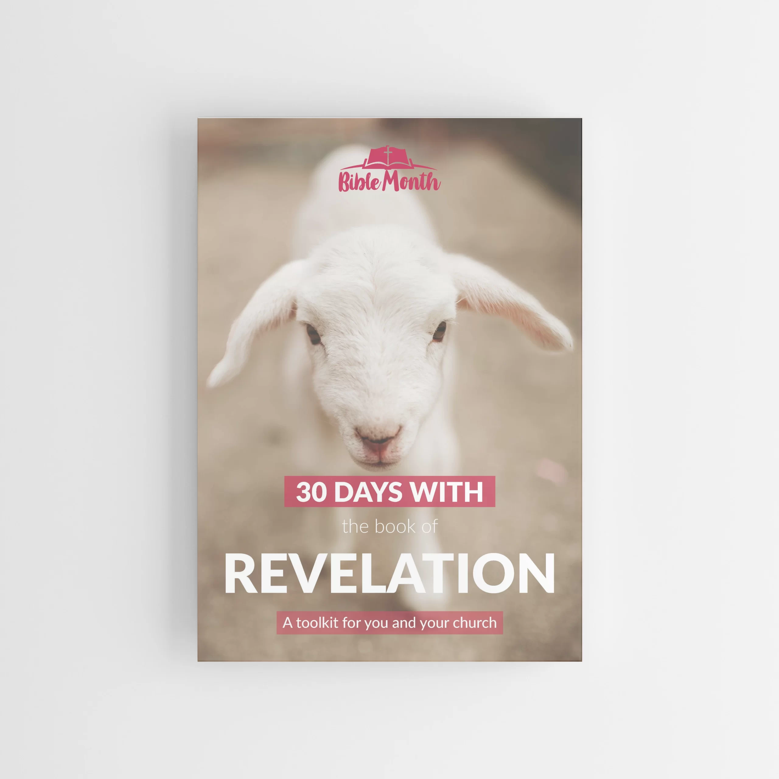 Revelation | Bible Month | Sermon tips and Bible study booklet
