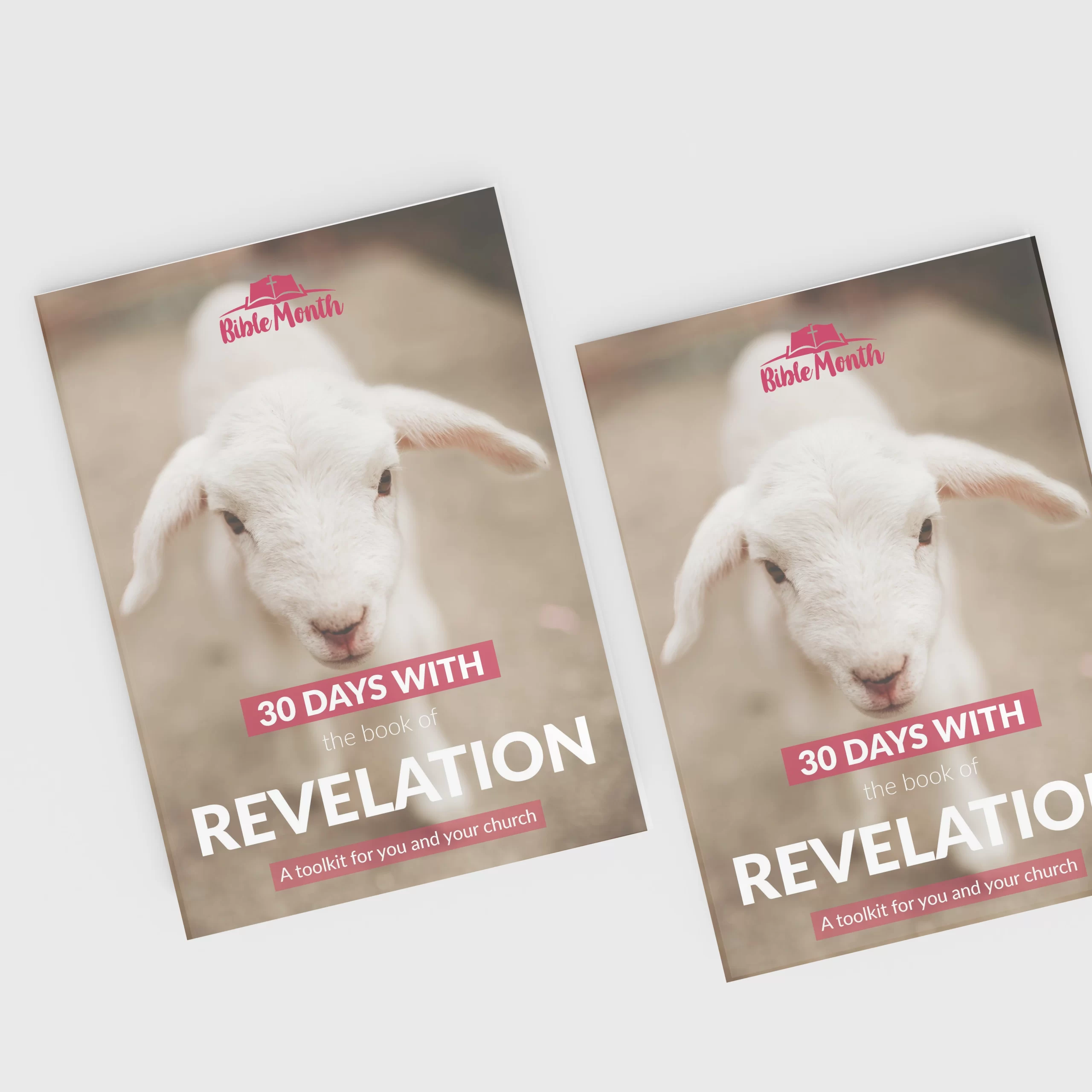 Bundle of 10 x Revelation | Bible Month | Sermon tips and Bible study booklet (Premier)